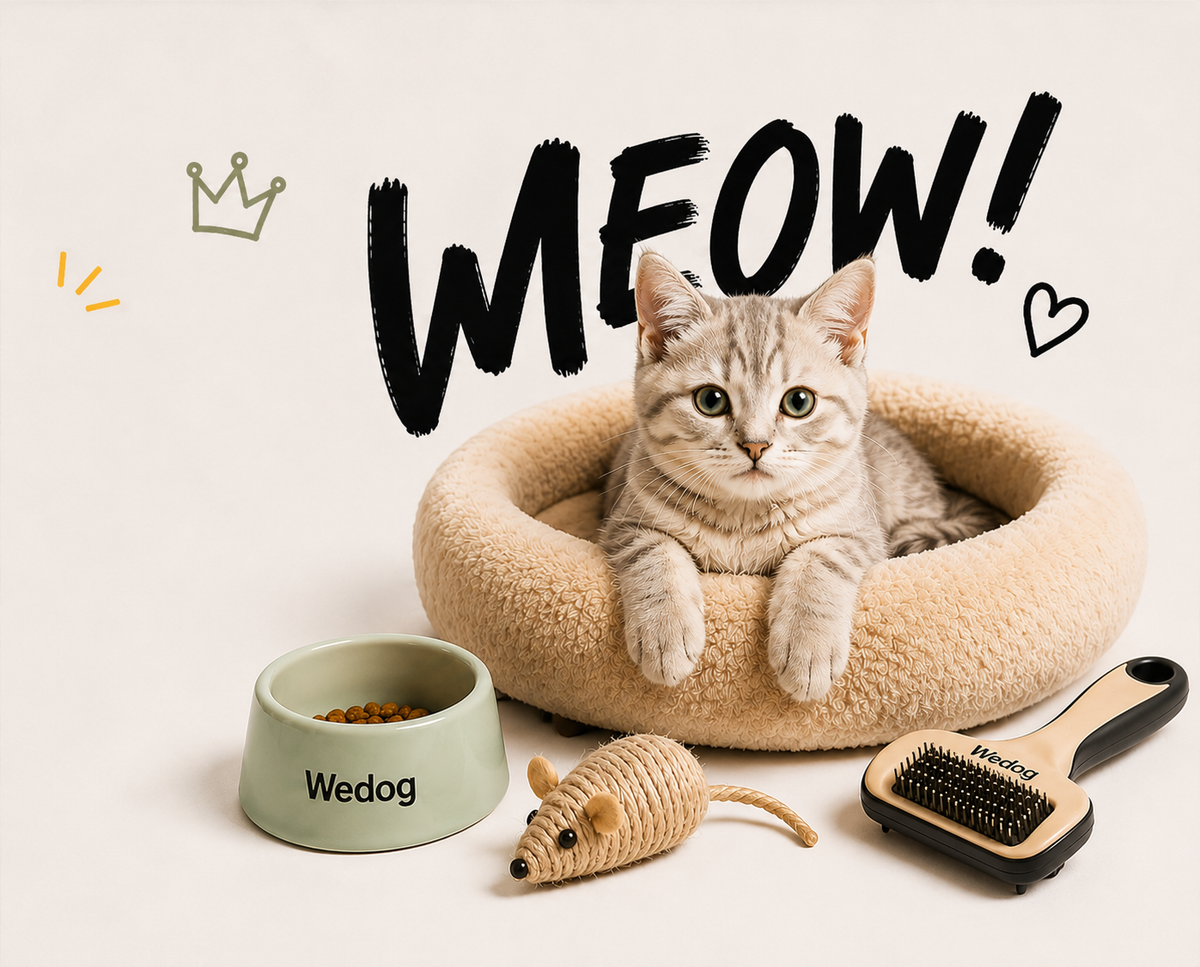 Para gatos